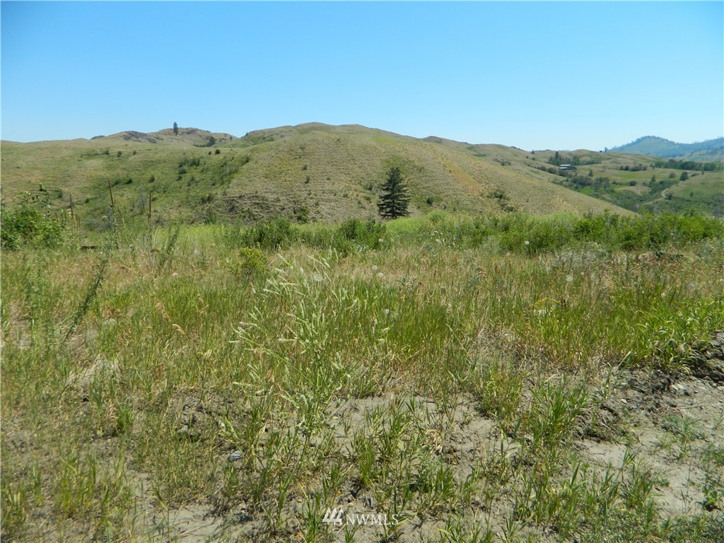 166 Stalder Road Tonasket, WA 98855 - Photo 7 of 10 Gallery Image 7