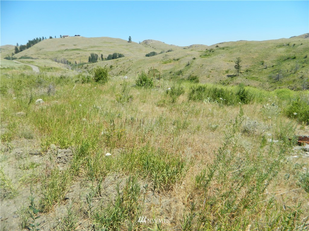 166 Stalder Road Tonasket, WA 98855 - Photo 9 of 10 Gallery Image 9
