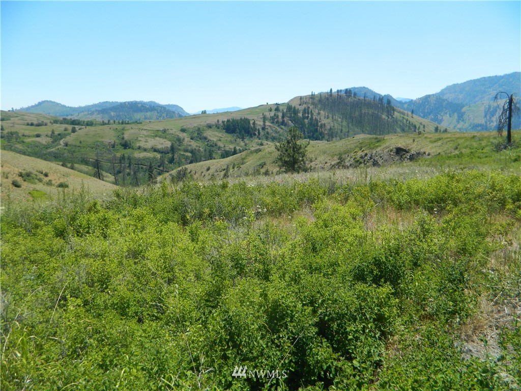 166 Stalder Road Tonasket, WA 98855 - Photo 10 of 10 Gallery Image 10