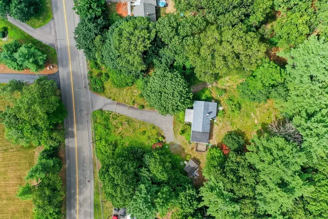 an aerial view of a garden with plants