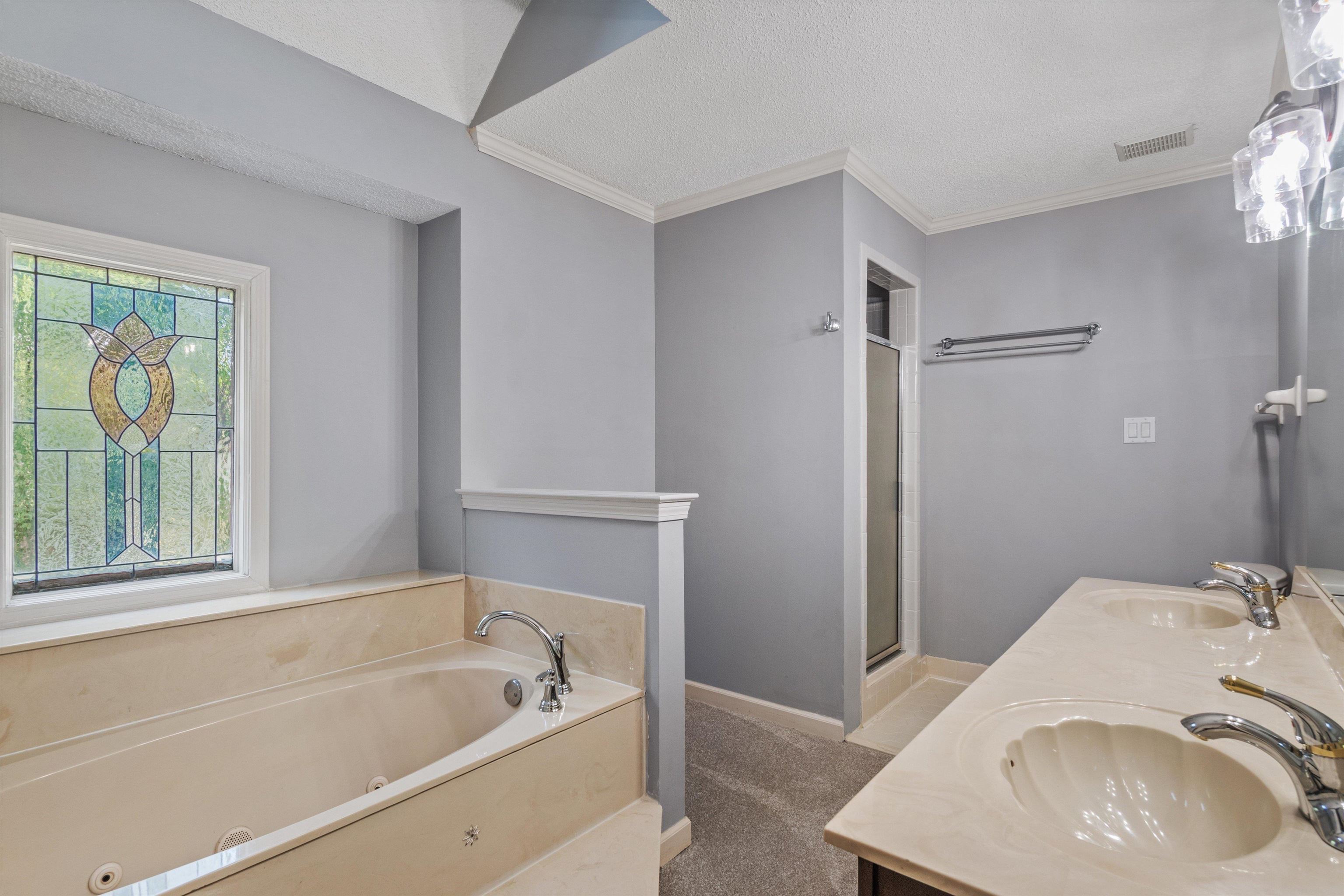 10288 Waterford Road Collierville, TN 38017 - Photo 19 of 35 Spa-like with a whirlpool tub, separate shower, large walk-in closet, and double vanity.