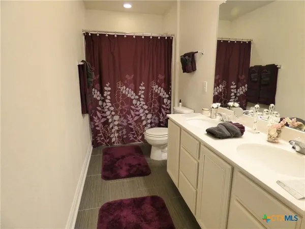 a bathroom with a sink and a toilet