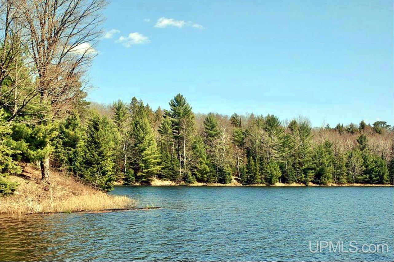 0 Ponozzo Road Iron River, MI 49935 - Photo 1 of 47 Gallery Image 1