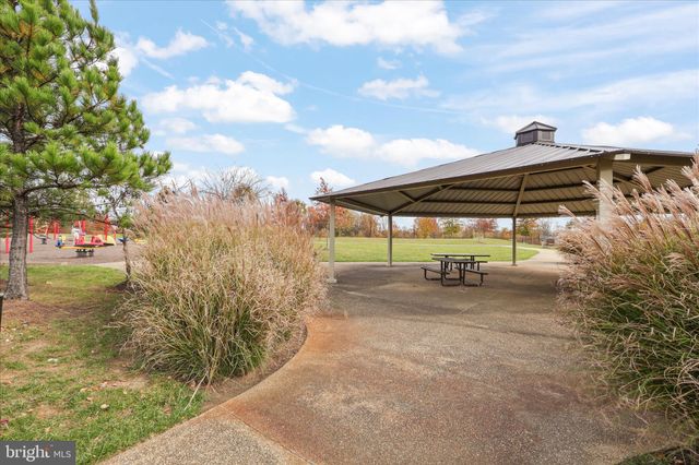 a view of a park with large trees