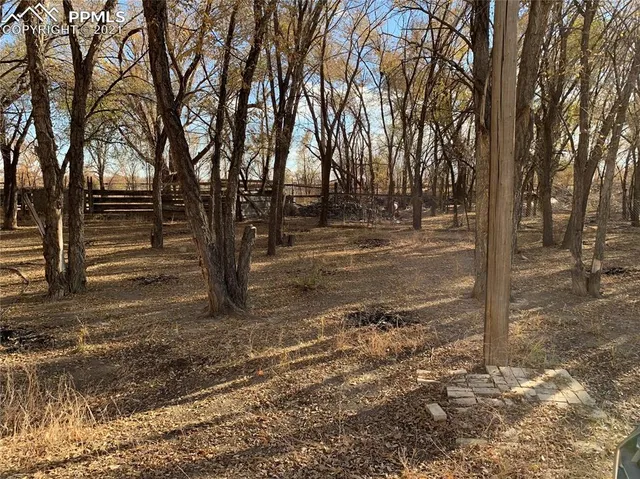 a view of a yard with large trees