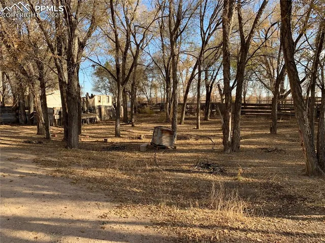 a view of park with tree