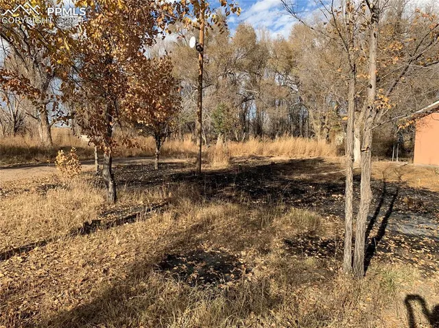 a view of a yard with trees