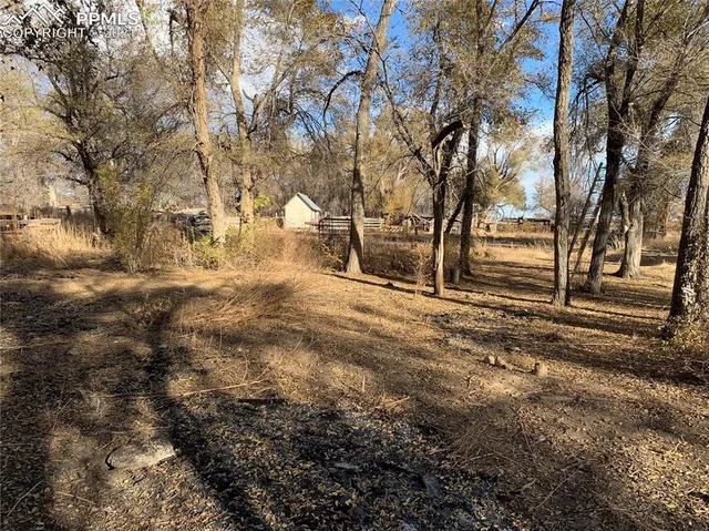 a view of empty yard with trees