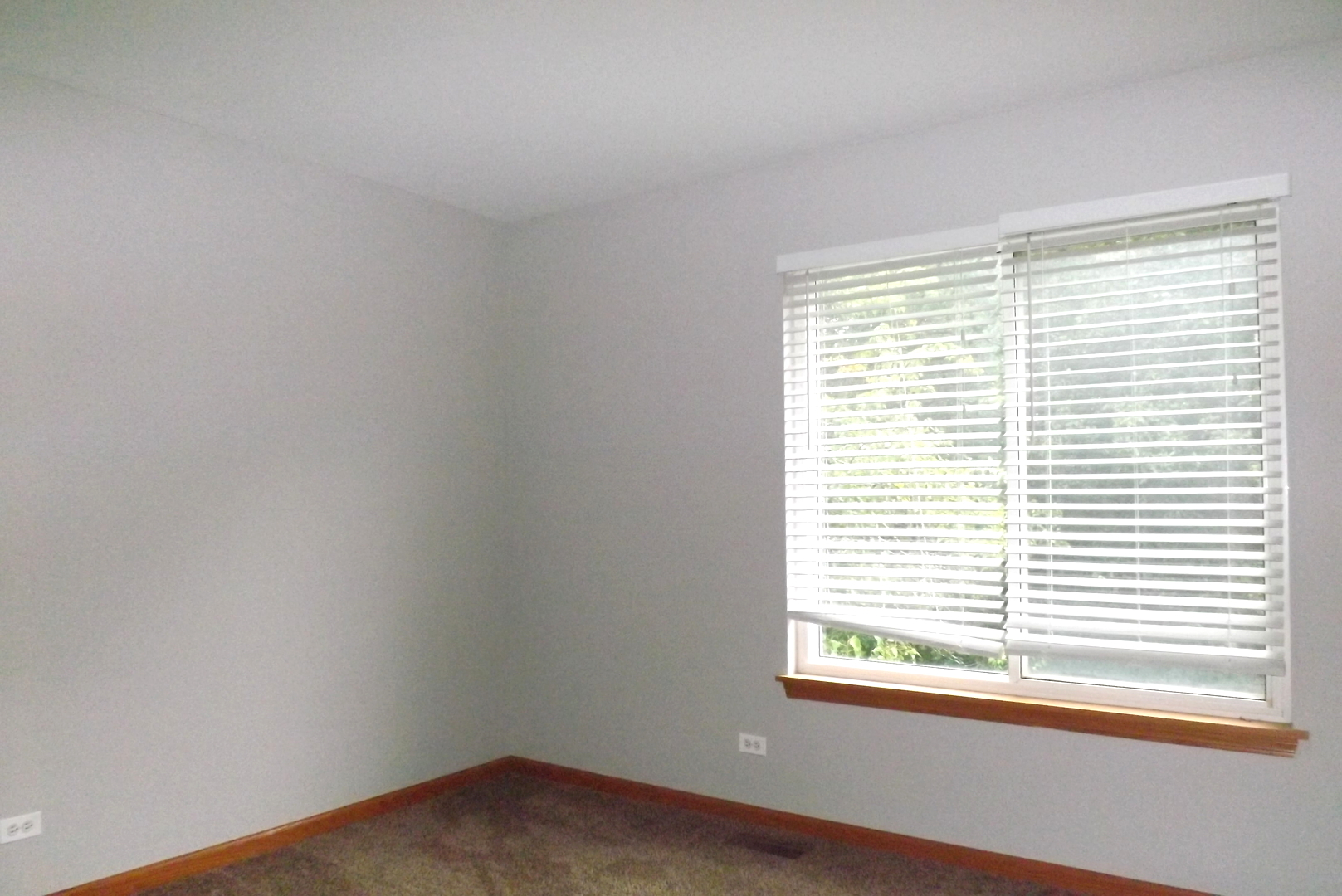 512 West Wildspring Road Round Lake, IL 60073 - Photo 14 of 16 a view of an empty room with a window