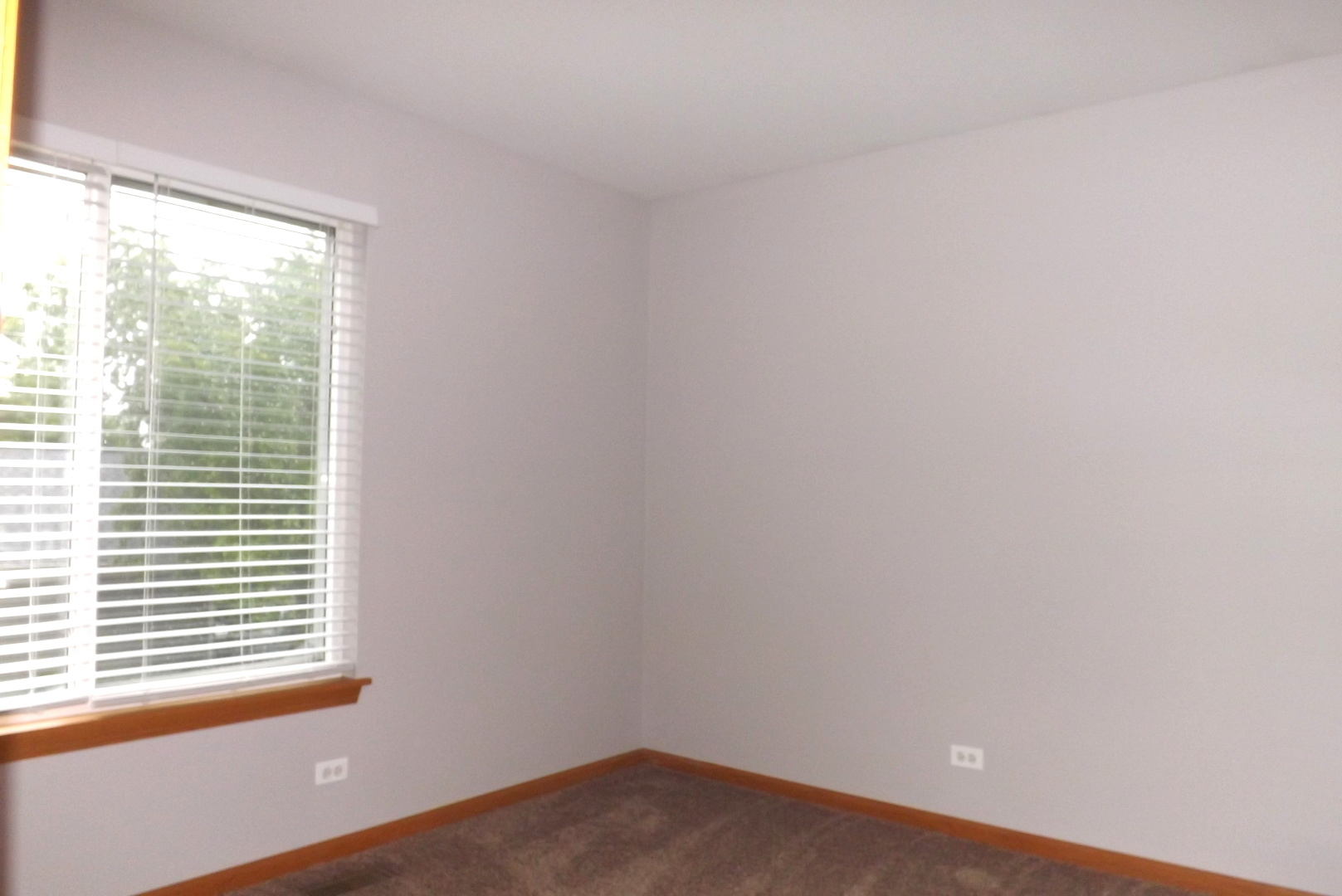 512 West Wildspring Road Round Lake, IL 60073 - Photo 16 of 16 a view of a room that has a window in it