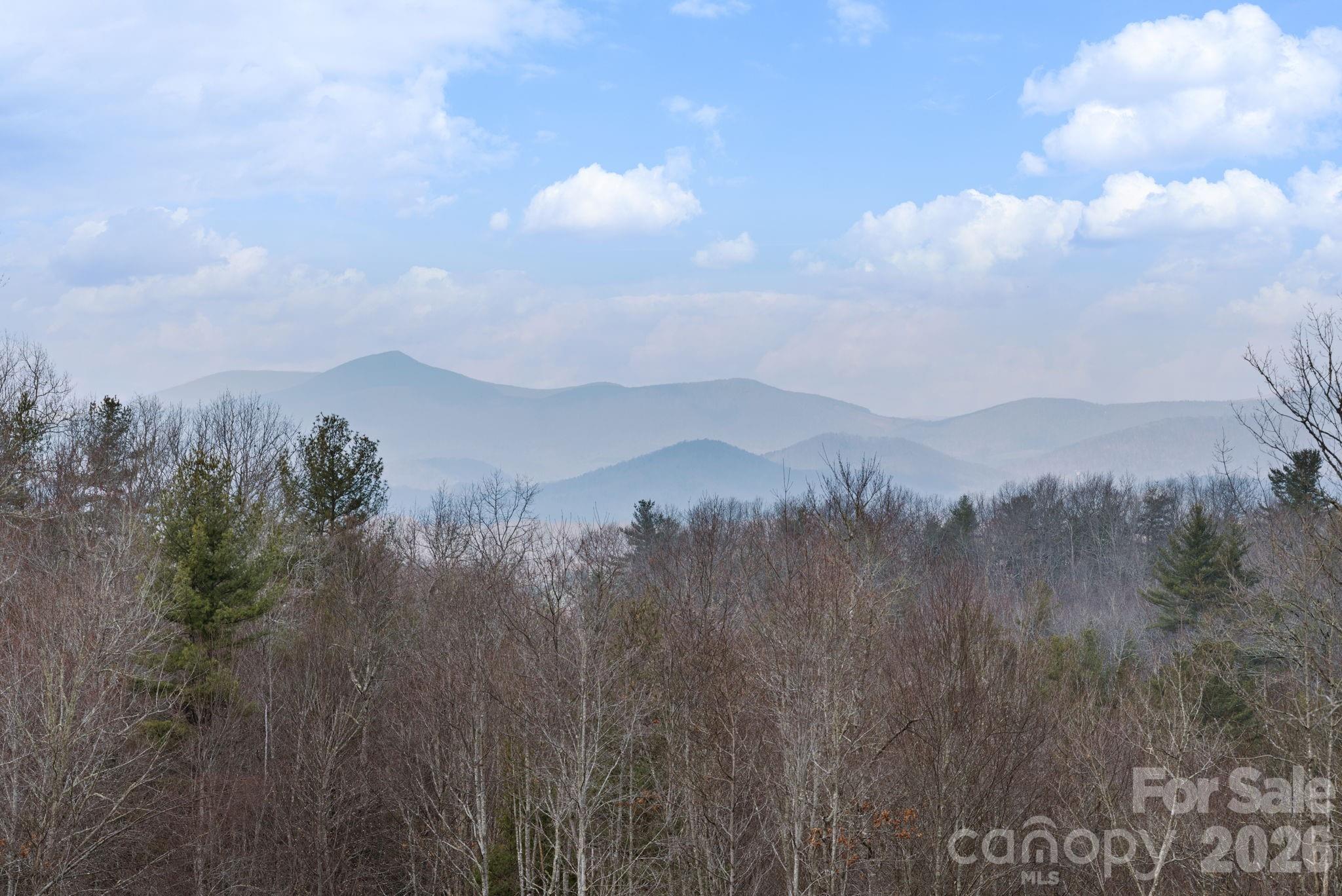 449 Hampton Ridge Road Fleetwood, NC 28626 - Photo 4 of 48 a view of a city with mountains in the background