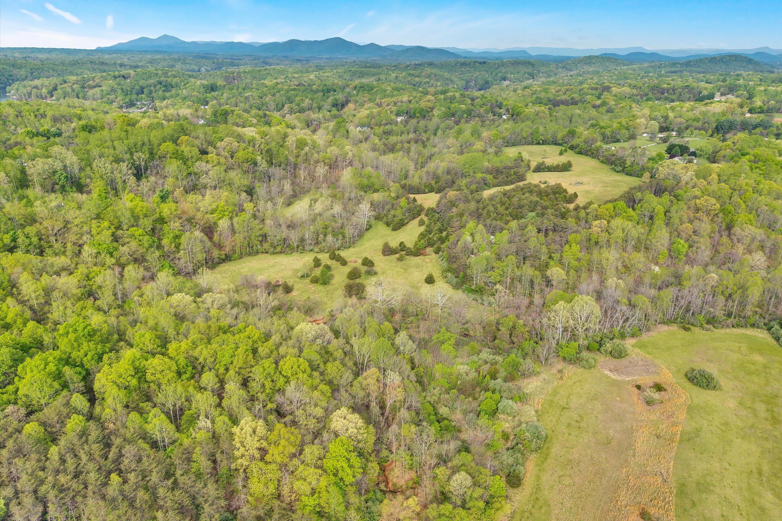 0 Navigation Point Goodview, VA 24095 - Photo 7 of 11 a view of a green field