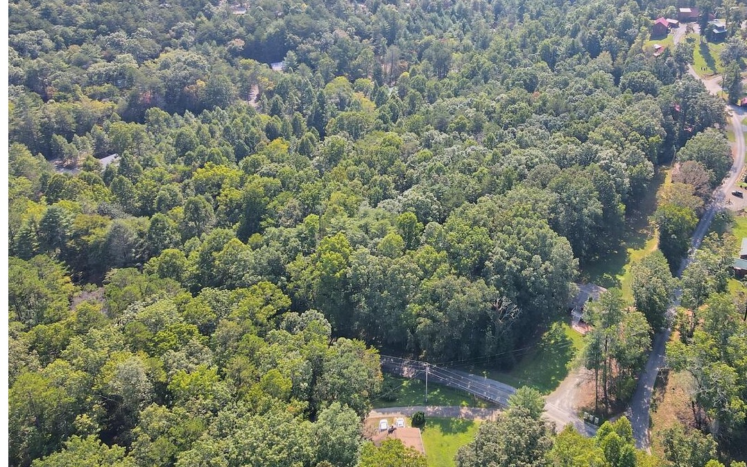760 Panther Top Road Murphy, NC 28906 - Photo 40 of 45 a view of a forest with a houses