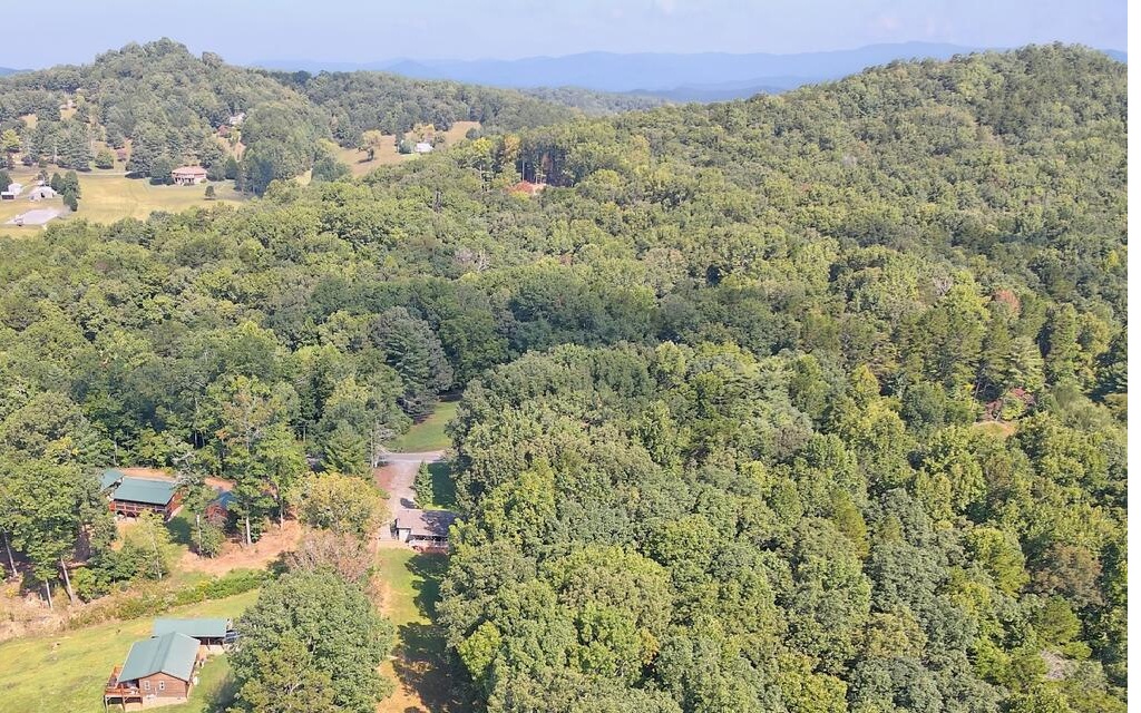 760 Panther Top Road Murphy, NC 28906 - Photo 44 of 45 a view of a field with a tree