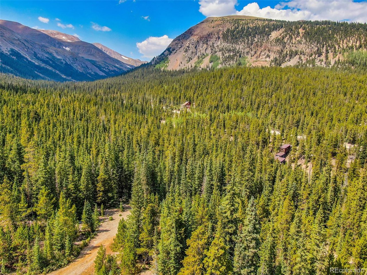 192 192nd Alma, CO 80420 - Photo 16 of 22 a view of a yard