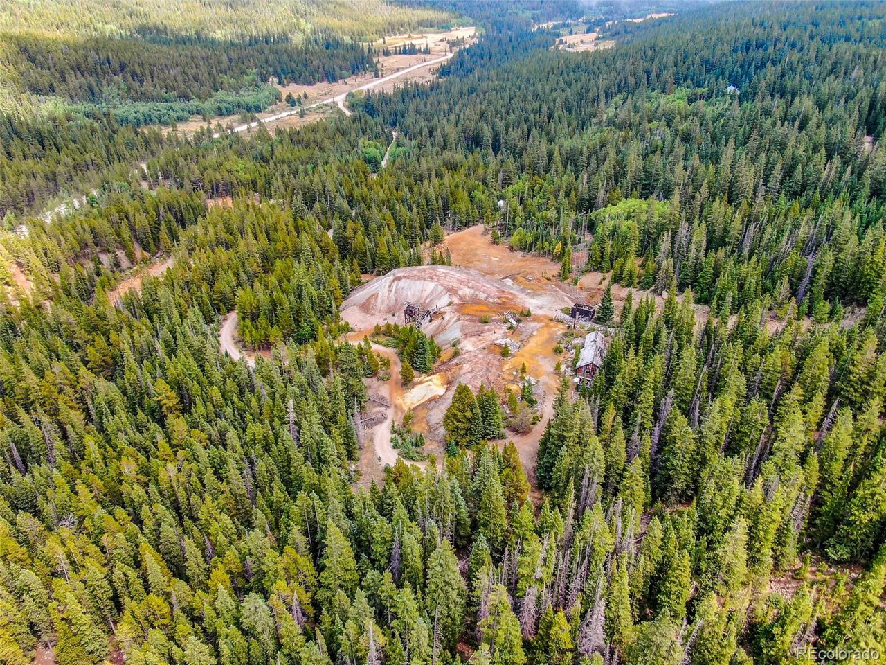192 192nd Alma, CO 80420 - Photo 9 of 22 a close up of a plant in a garden