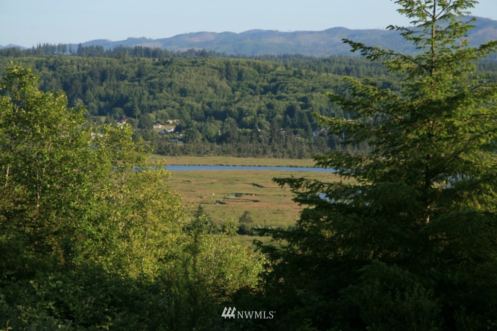 2-a Elk Creek Road Raymond, WA 98577 - Photo 1 of 1 Gallery Image 1