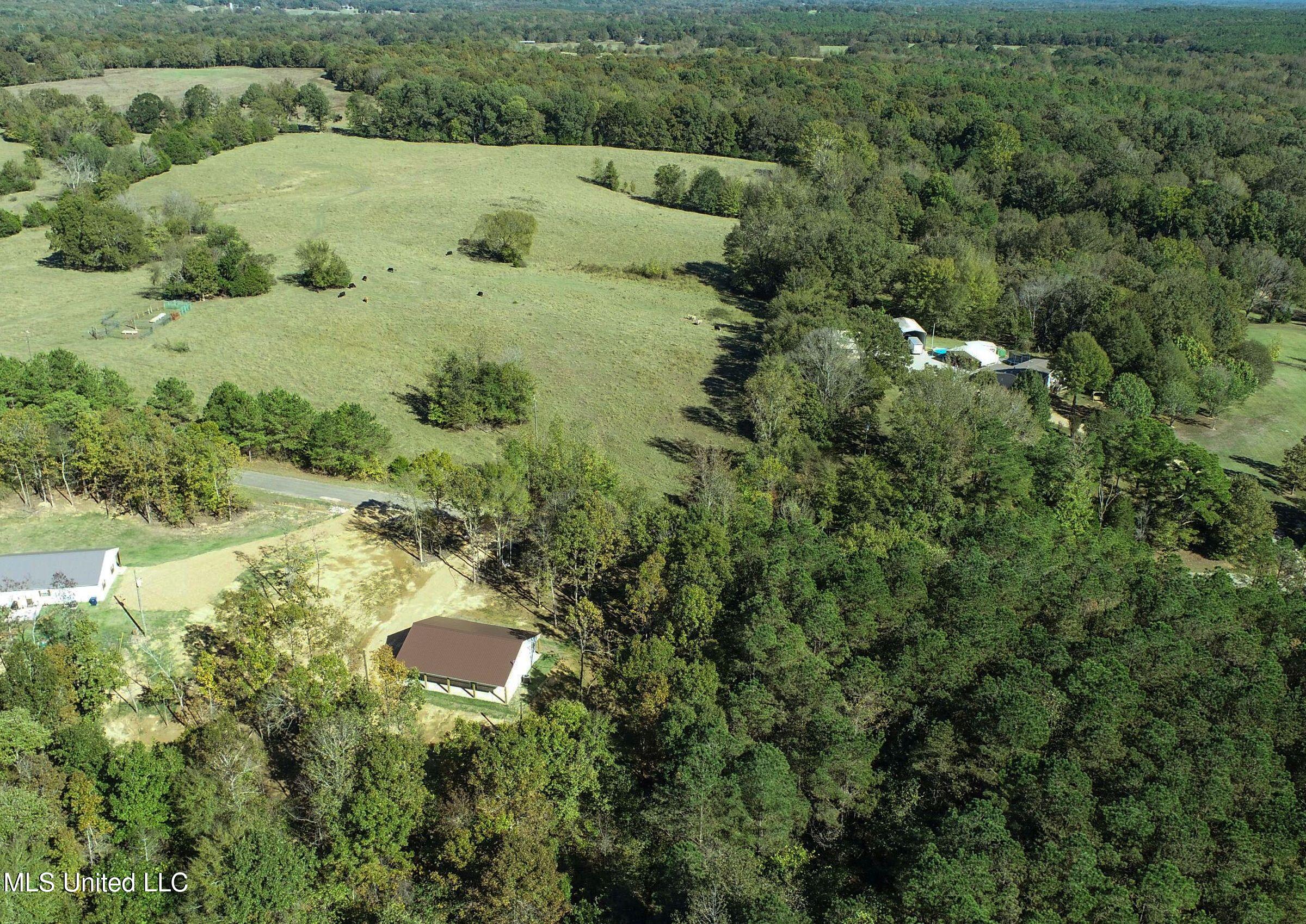 533 Hudson Road Sardis, MS 38666 - Photo 8 of 106 3hdsrd4