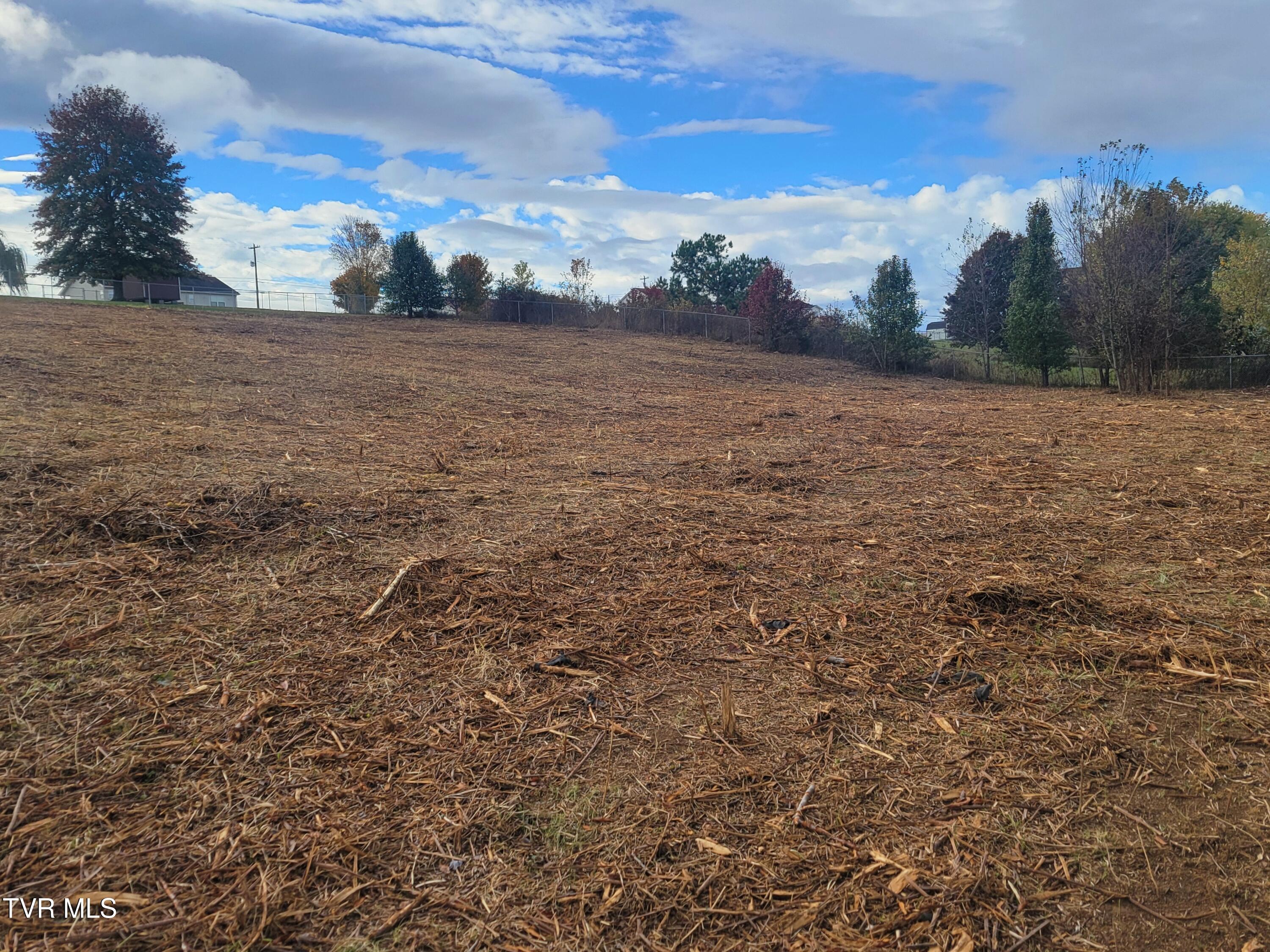 1212 Bowmantown Road, Unit 1 Limestone, TN 37681 - Photo 5 of 12 20251029_100241