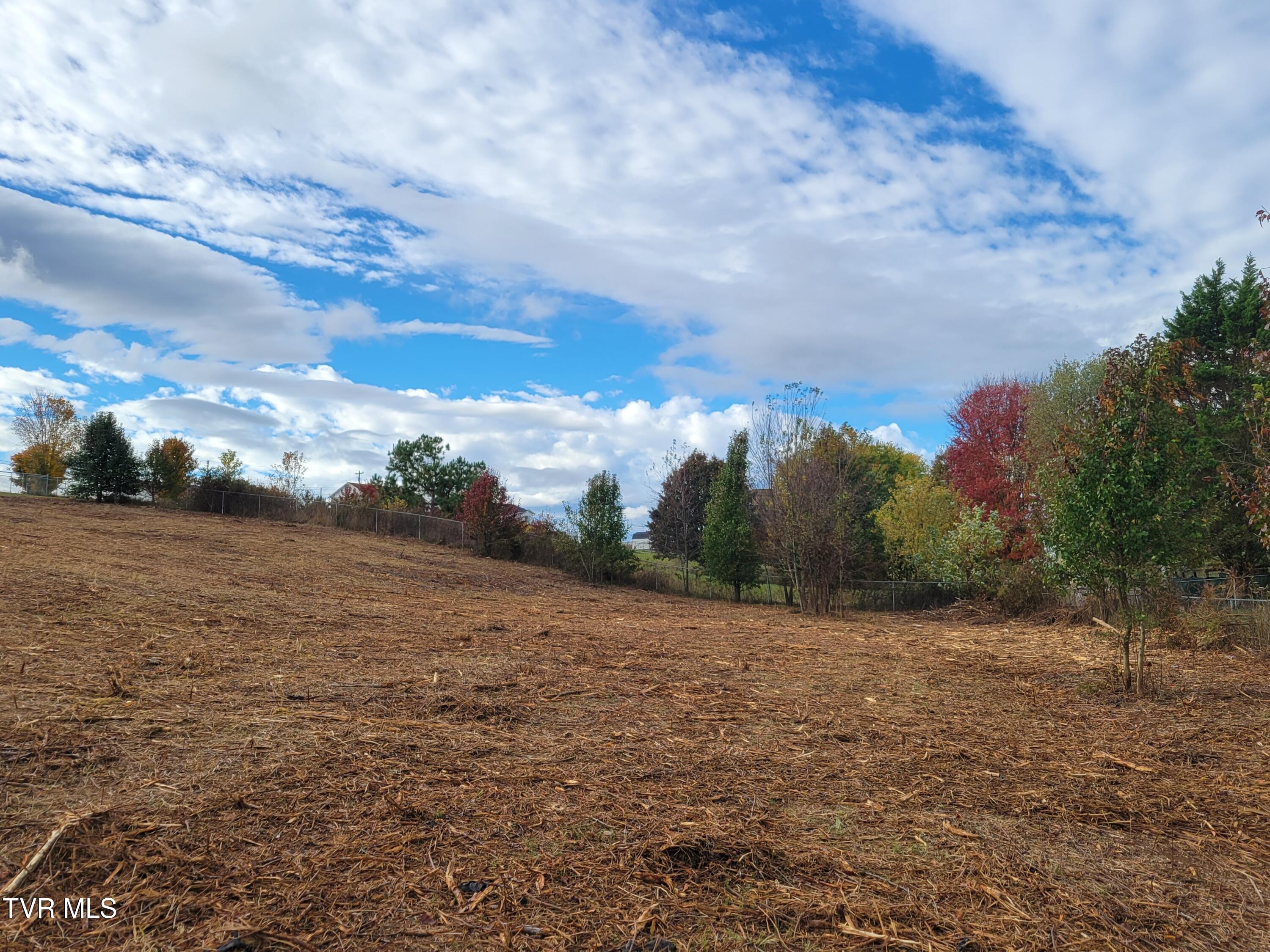 1212 Bowmantown Road, Unit 1 Limestone, TN 37681 - Photo 6 of 12 20251029_100255