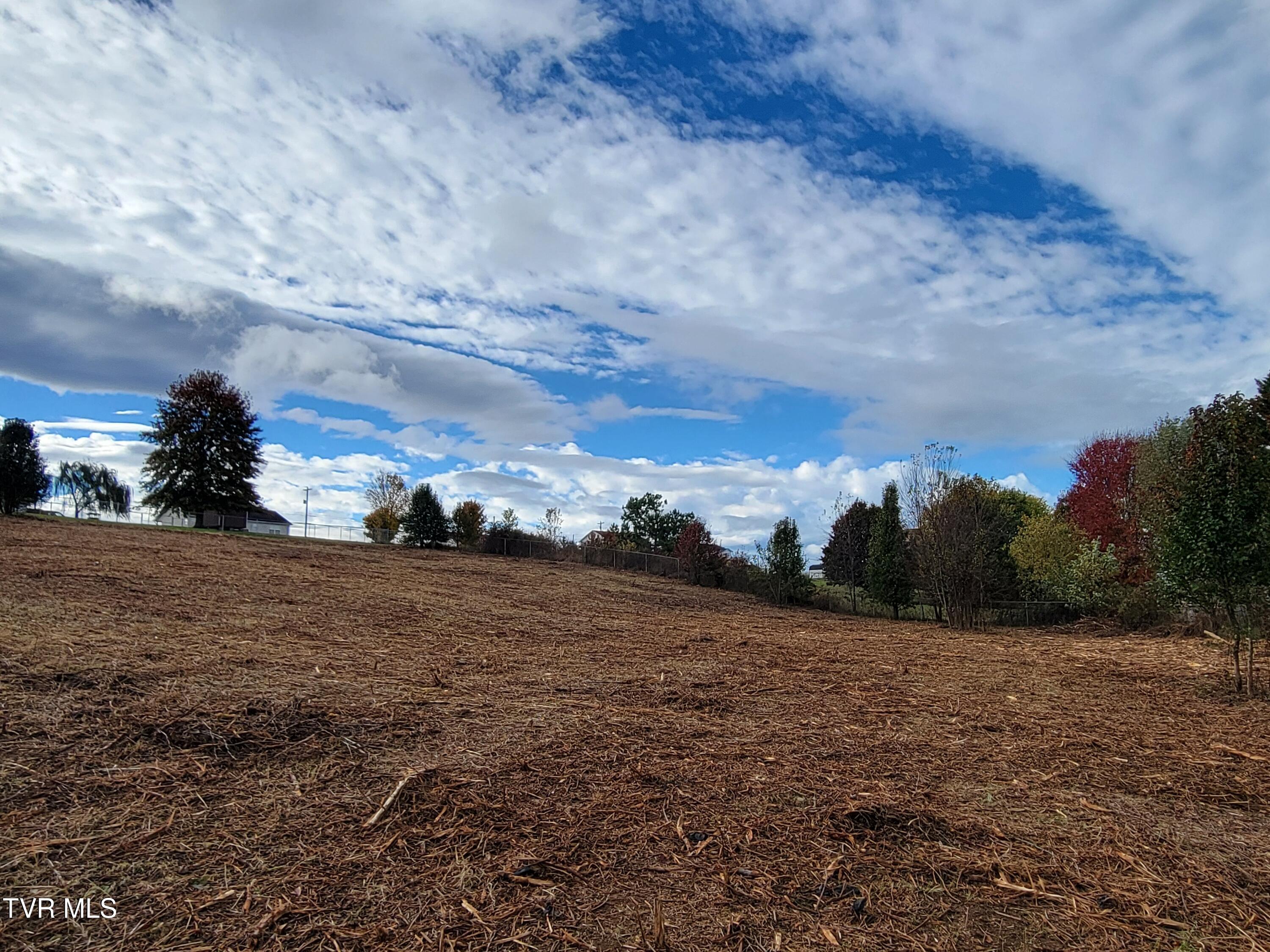 1212 Bowmantown Road, Unit 1 Limestone, TN 37681 - Photo 8 of 12 20251029_100303