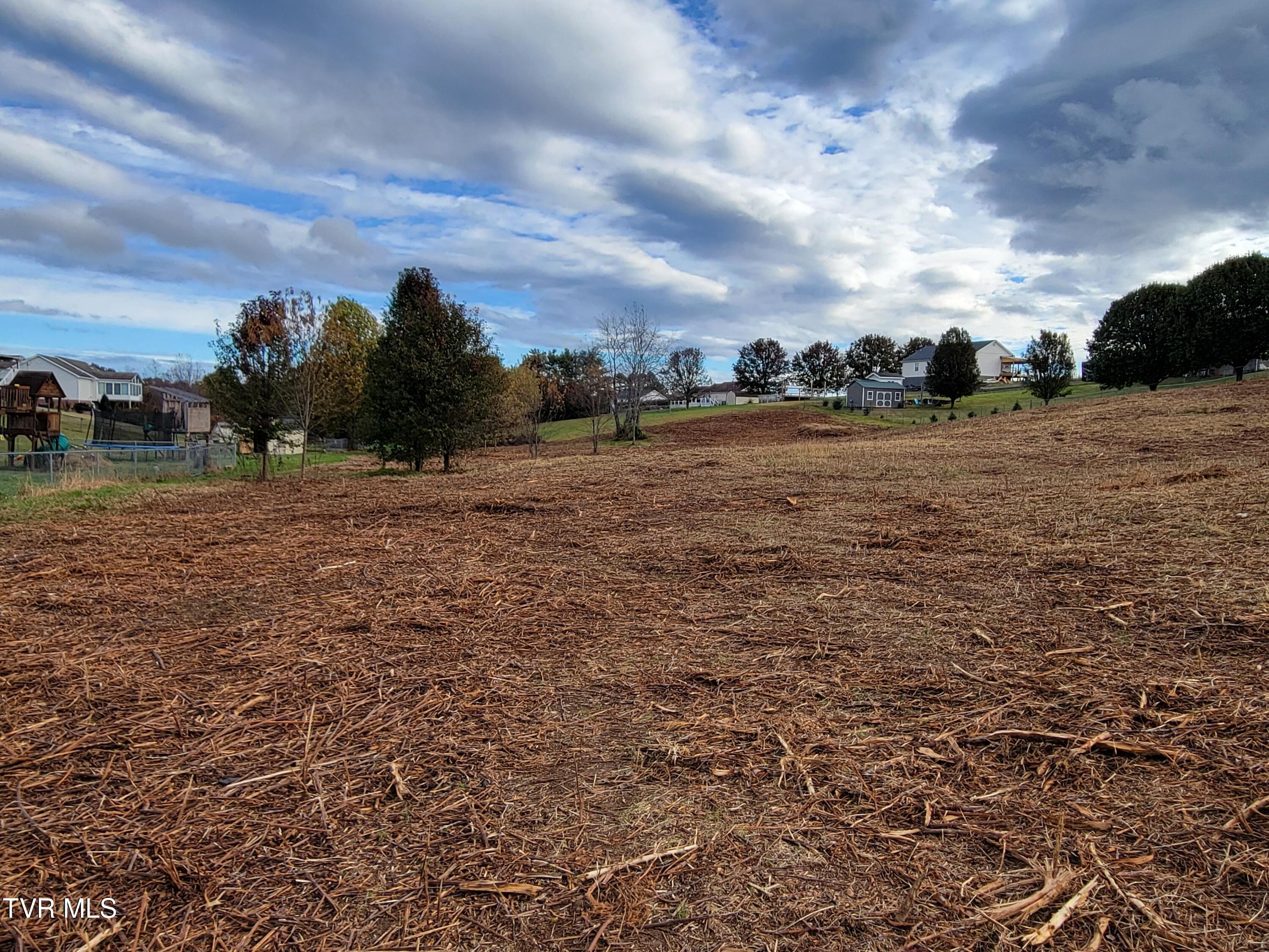 1212 Bowmantown Road, Unit 1 Limestone, TN 37681 - Photo 10 of 12 20251029_100309