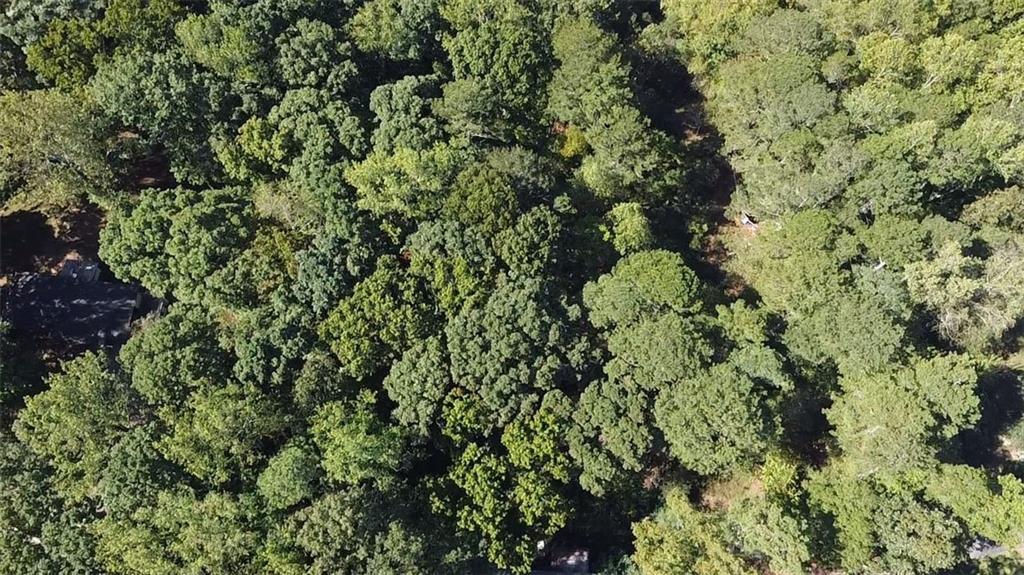 6220 Stewart Road Buford, GA 30518 - Photo 3 of 7 view of a lush green forest
