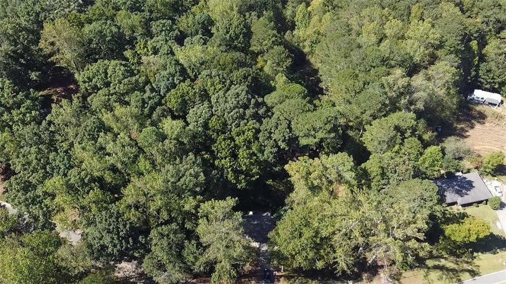 6220 Stewart Road Buford, GA 30518 - Photo 5 of 7 view of a forest with a tree