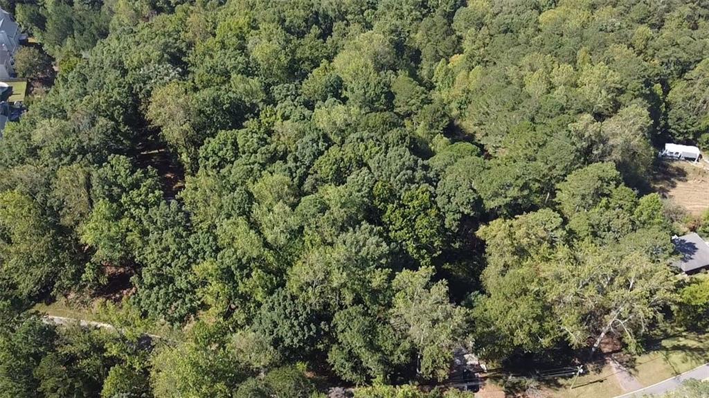 6220 Stewart Road Buford, GA 30518 - Photo 7 of 7 view of a lots of trees and bushes