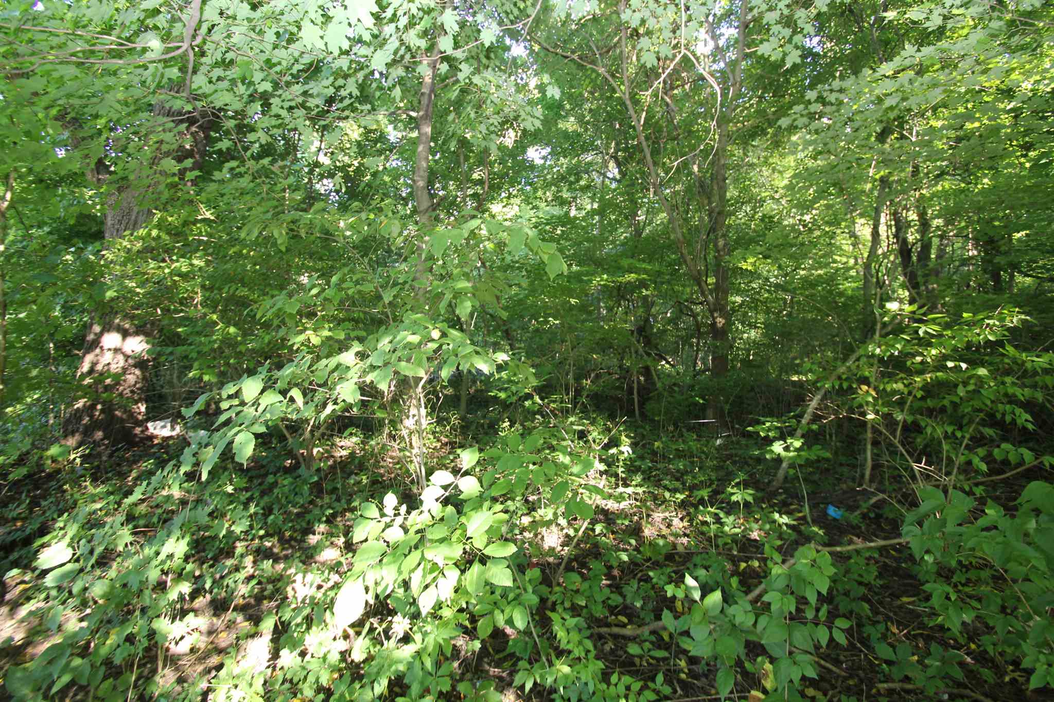 7425 St Road Lafayette, IN 47905 - Photo 6 of 17