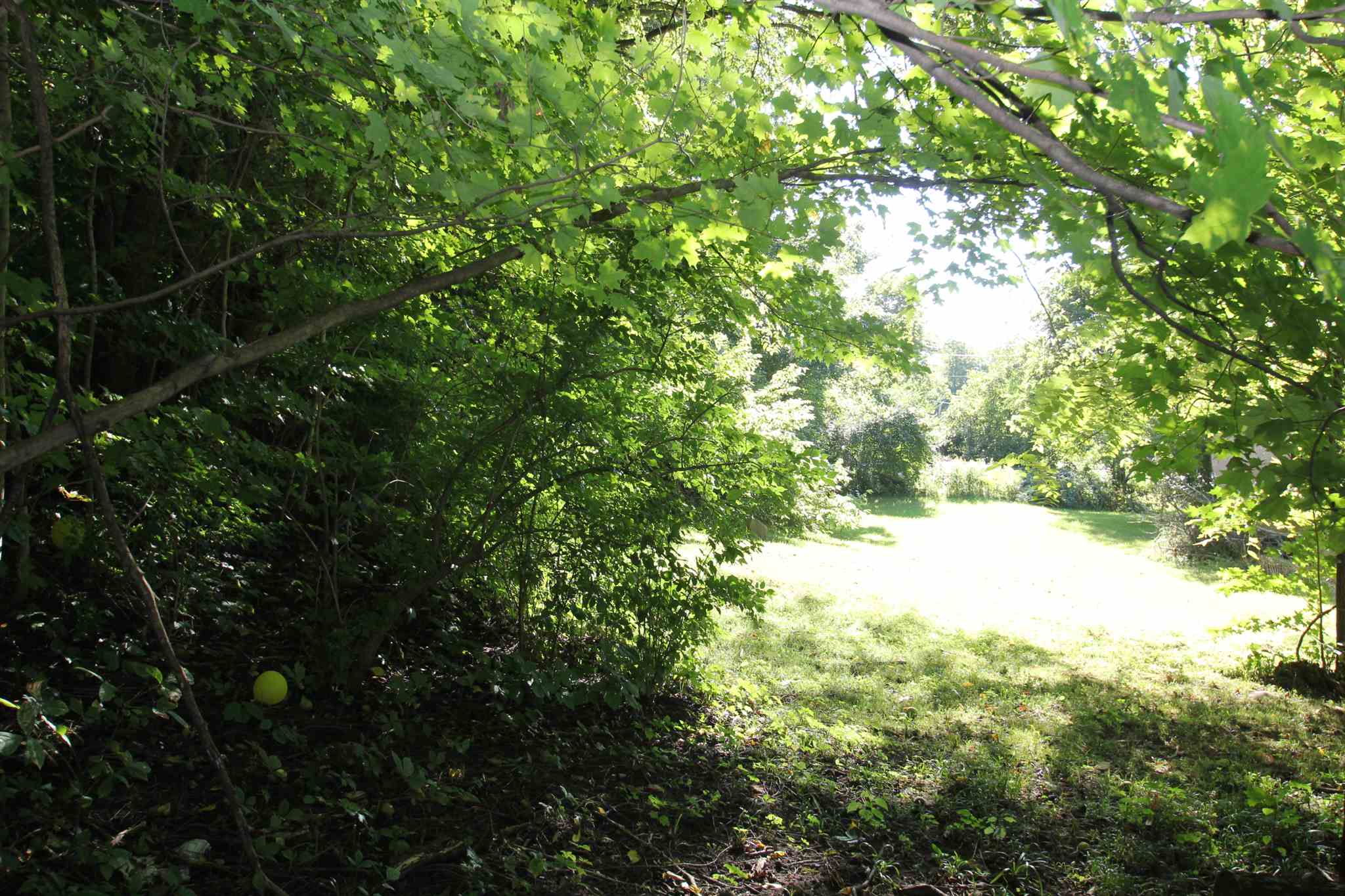 7425 St Road Lafayette, IN 47905 - Photo 7 of 17
