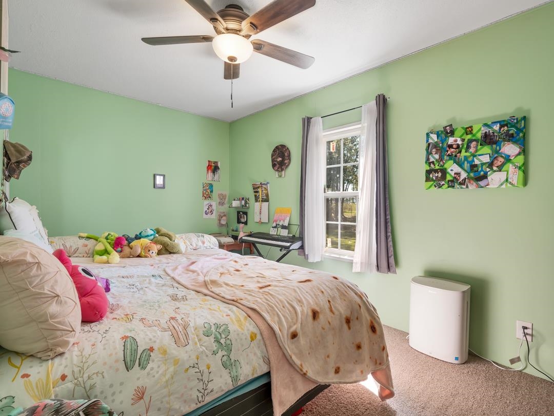 300 Radford Road Greenville, FL 32331 - Photo 11 of 36 Gallery Image 11