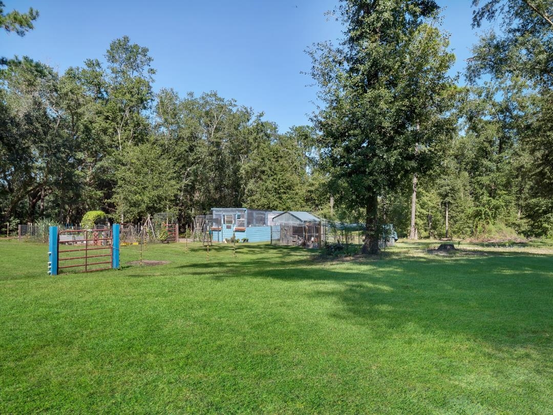 300 Radford Road Greenville, FL 32331 - Photo 23 of 36 Gallery Image 23