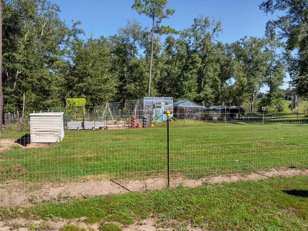 300 Radford Road Greenville, FL 32331 - Photo 24 of 36 Gallery Image 24