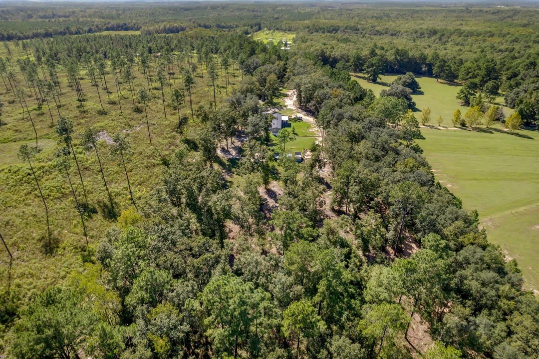 300 Radford Road Greenville, FL 32331 - Photo 27 of 36 Gallery Image 27