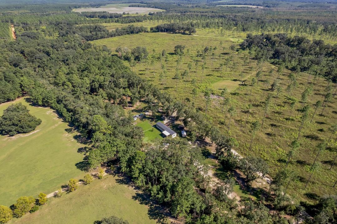 300 Radford Road Greenville, FL 32331 - Photo 28 of 36 Gallery Image 28