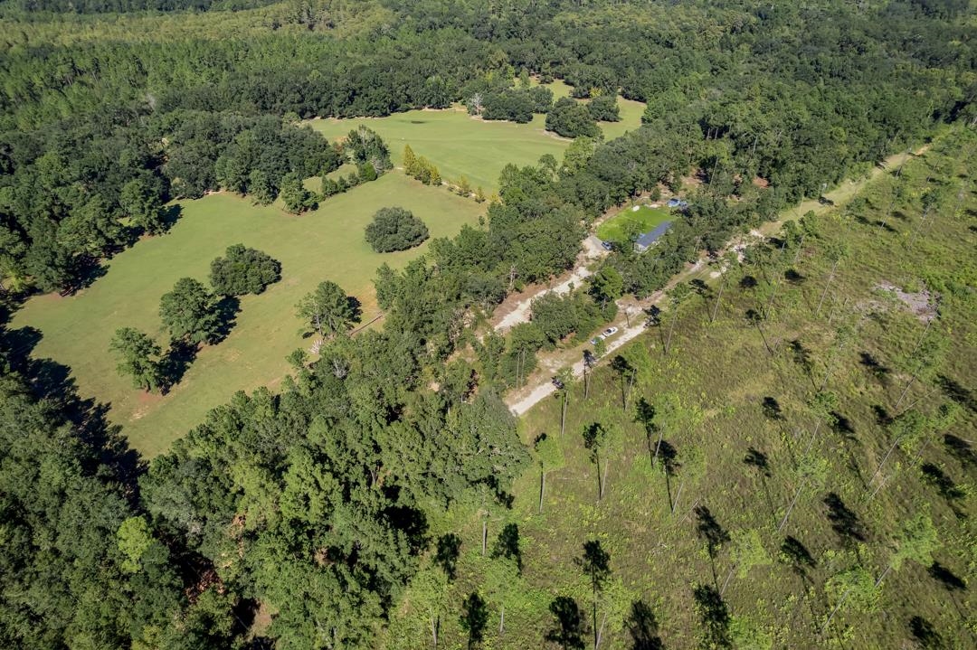 300 Radford Road Greenville, FL 32331 - Photo 29 of 36 Gallery Image 29