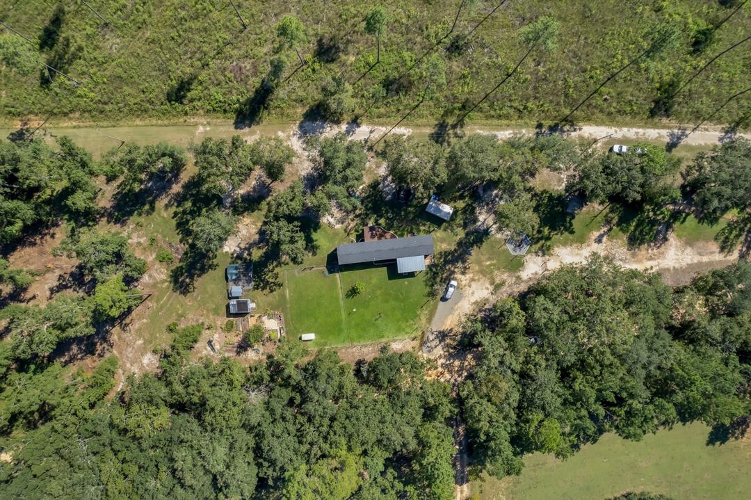 300 Radford Road Greenville, FL 32331 - Photo 30 of 36 Gallery Image 30