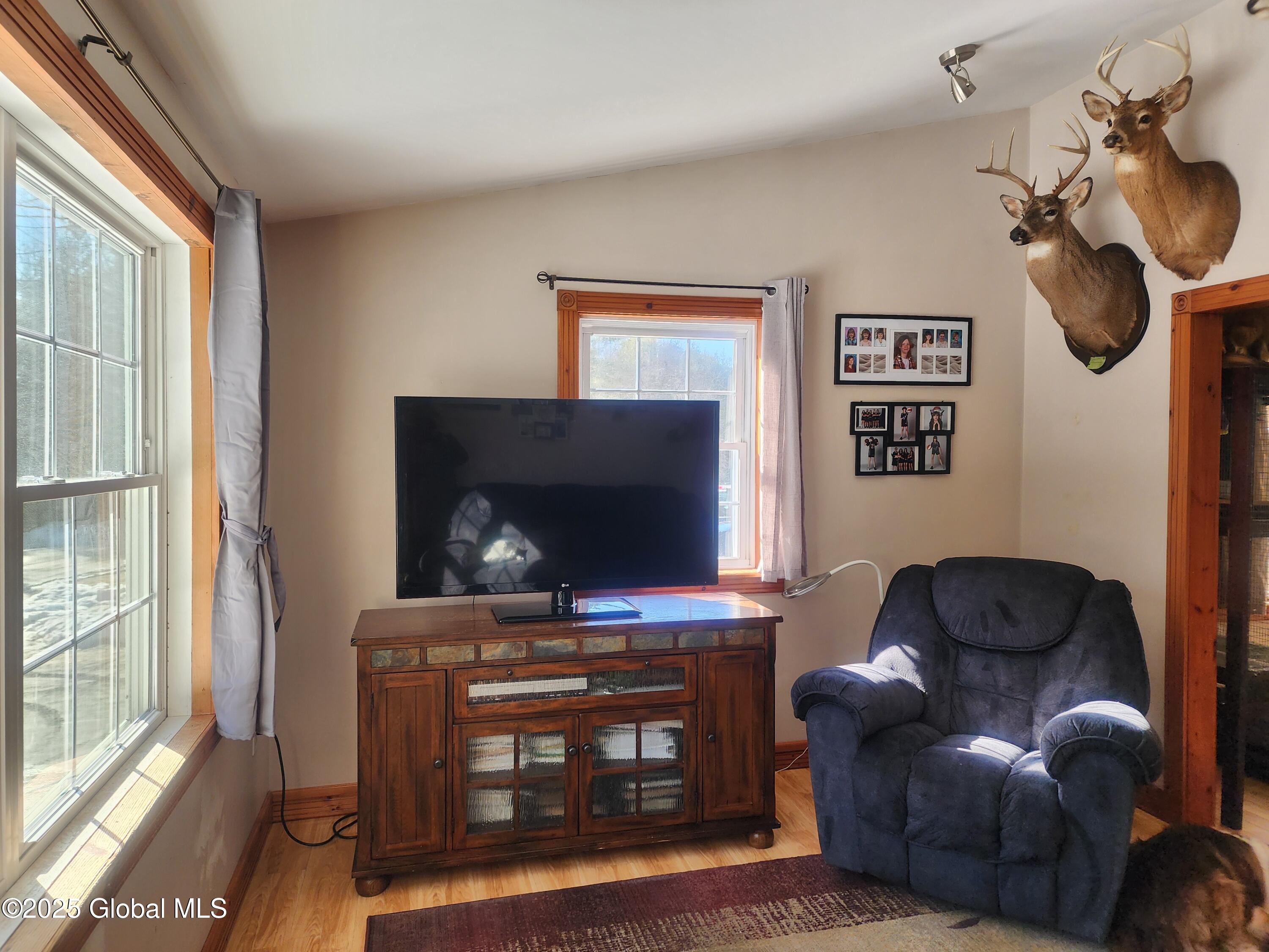 211 Perry Road Chester, NY 12853 - Photo 15 of 29 Living Room Pic 1