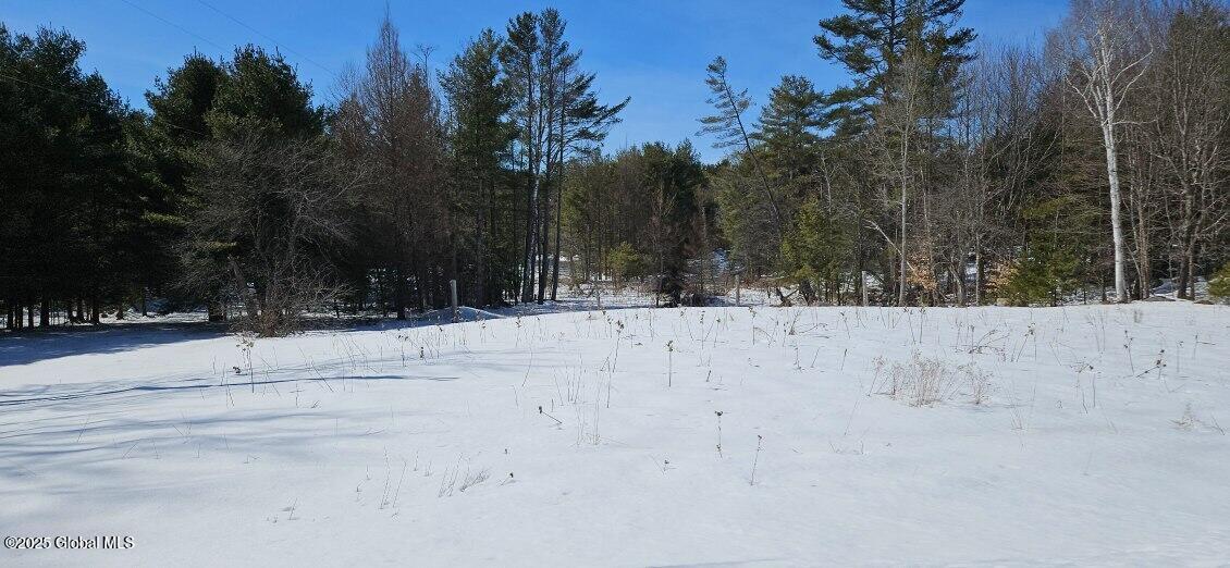 211 Perry Road Chester, NY 12853 - Photo 22 of 29 image000001 (40)