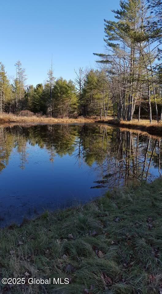 211 Perry Road Chester, NY 12853 - Photo 25 of 29 FB_IMG_1741681046891