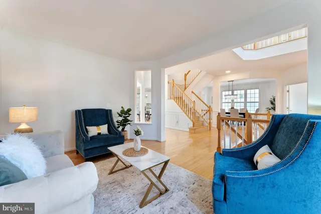 a living room with furniture a rug and a potted plant