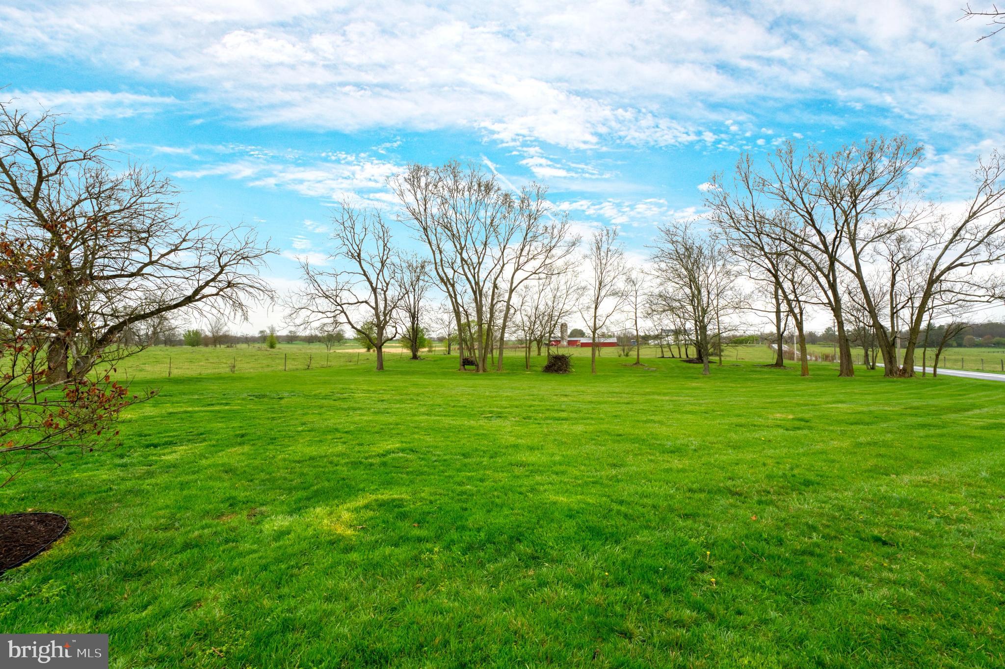1080 Russell Road Berryville, VA 22611 - Photo 26 of 31 a garden view with trees
