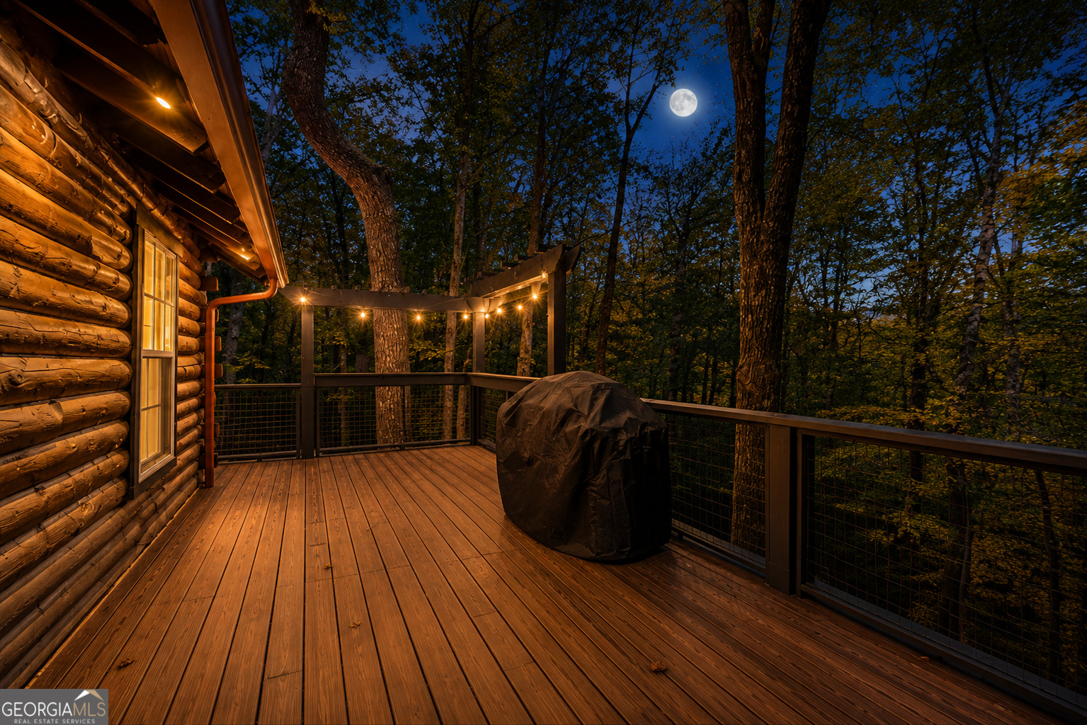 325 Pettit Ridge Road Ellijay, GA 30536 - Photo 8 of 48