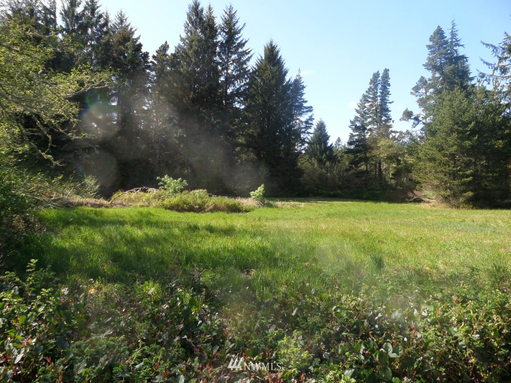 9901 Sandridge Road Long Beach, WA 98631 - Photo 1 of 2 Gallery Image 1