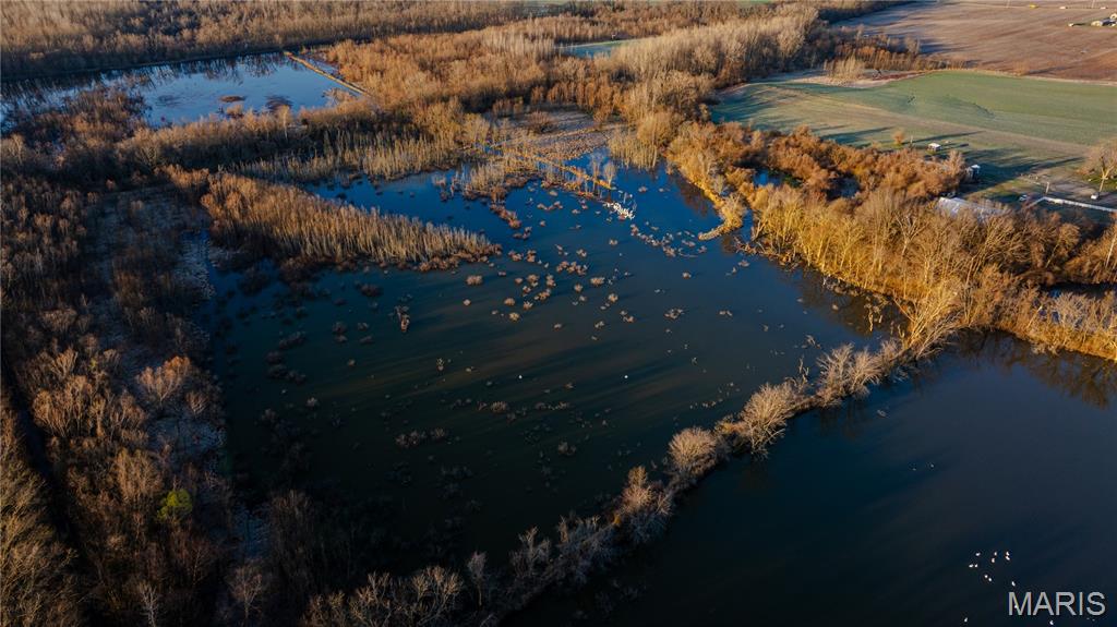 10000 Rieder Road Lebanon, IL 62254 - Photo 13 of 63
