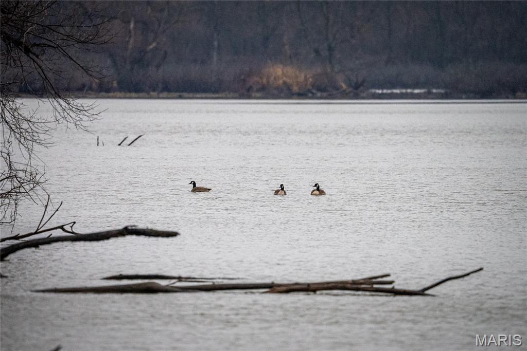 10000 Rieder Road Lebanon, IL 62254 - Photo 16 of 63