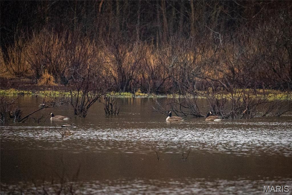 10000 Rieder Road Lebanon, IL 62254 - Photo 17 of 63