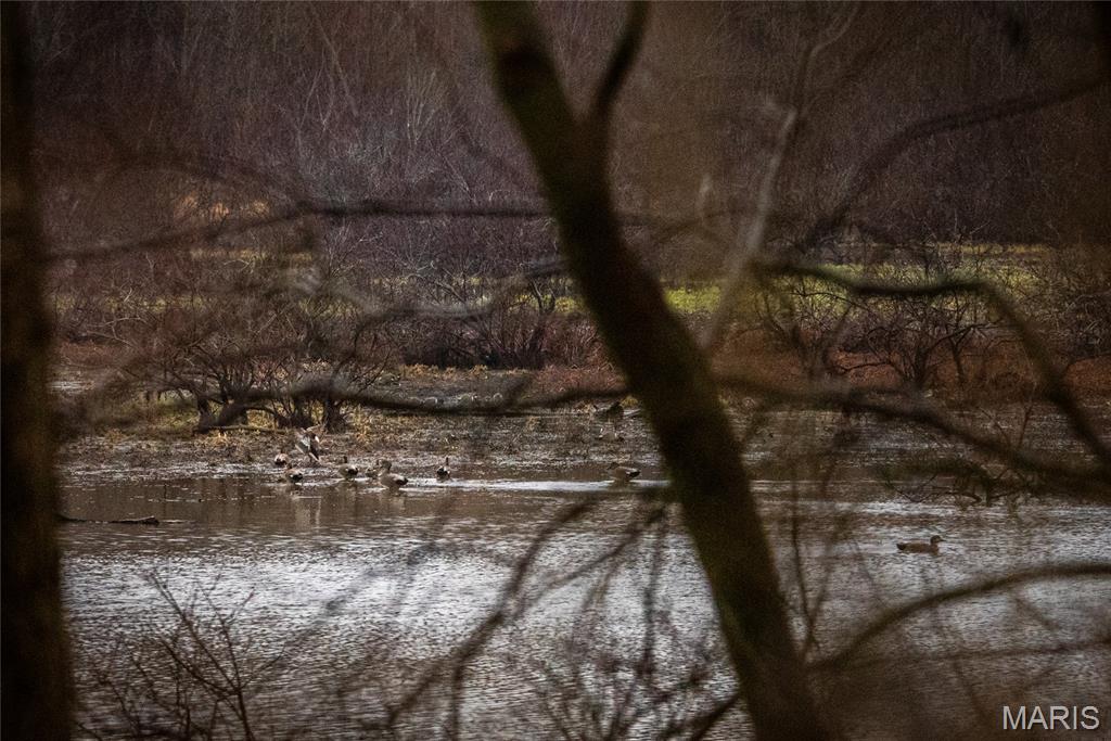 10000 Rieder Road Lebanon, IL 62254 - Photo 19 of 63