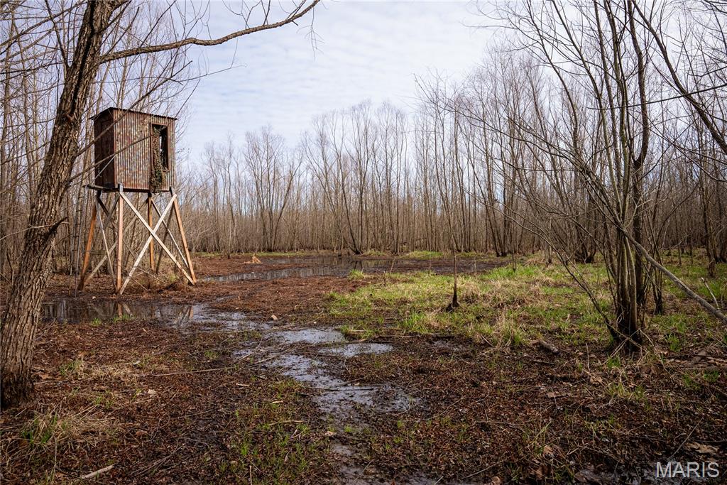 10000 Rieder Road Lebanon, IL 62254 - Photo 20 of 63